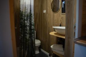 a bathroom with a shower and a toilet and a sink at Casuta Mea in Piatra Neamţ