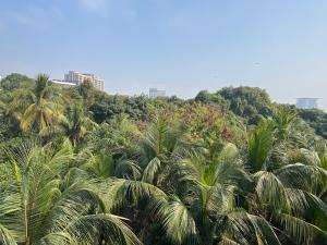 un grupo de palmeras en una colina con edificios en 3 beds flat in Chittagong, en Chittagong