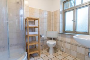 a bathroom with a toilet and a sink and a shower at Ferienhaussiedlung Strandperlen Buchenhof 2b (Typ VI) in Wustrow