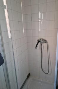 La salle de bains est pourvue d'une douche avec un pommeau de douche. dans l'établissement PENSION ZEUS, à Valladolid