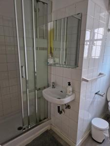 a bathroom with a sink and a shower and a toilet at PENSION ZEUS in Valladolid