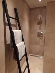 een handdoekenrek in een badkamer met een douche bij Secret Wellness Boszicht in Holten