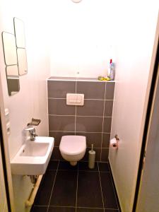 a small bathroom with a toilet and a sink at TROIS PIECES DE CHARME AUX PORTES DE GENEVE in Annemasse