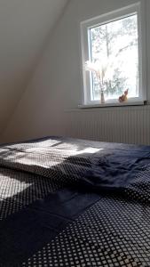 a bedroom with a bed and a window at de Grutto in Appelscha