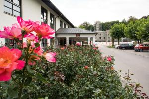 um arbusto de flores cor-de-rosa em frente a um edifício em Kim Hotel Im Park em Dresden