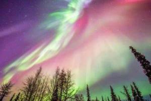 Ảnh trong thư viện ảnh của The Cub Cottage in North Pole AK ở North Pole