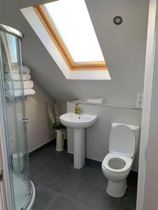 a bathroom with a toilet and a sink and a skylight at Lily’s Loft Bushmills in Bushmills