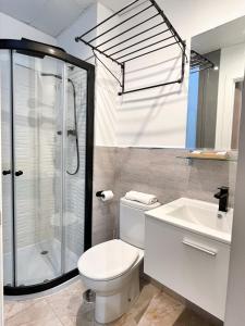 a bathroom with a shower and a toilet and a sink at Tennessee Urban Suites in Málaga