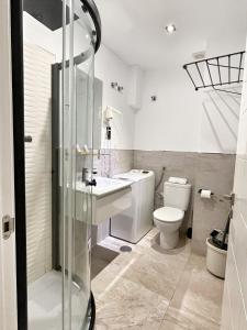 a bathroom with a toilet and a sink and a shower at Tennessee Urban Suites in Málaga