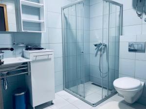 a bathroom with a shower with a toilet and a sink at Gondola Neda Lux in Zlatibor +34 photos