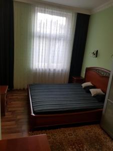 a bedroom with a large bed with a window at Apartman Moravska 188 in Karlovy Vary