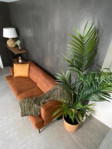 un salon avec un canapé et une plante dans l'établissement Rio D´Sal, à Alcochete