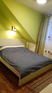 a bed in a room with a green wall at Apartman Moravska 188 in Karlovy Vary
