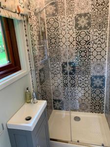 a bathroom with a shower and a sink at Lilliput - Delightful 1-bedroom shepherd's hut in Holsworthy