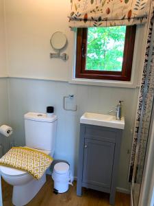 a bathroom with a toilet and a sink and a window at Lilliput - Delightful 1-bedroom shepherd's hut in Holsworthy