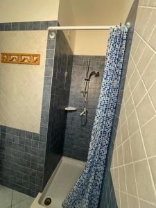 芡歐的住宿－Casa delle Farfalle，浴室设有蓝色瓷砖和淋浴。
