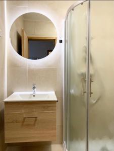 La salle de bains est pourvue d'un lavabo et d'une douche avec un miroir. dans l'établissement Guest house Stara lipa Tašner - free parking & kitchenette, à Maribor