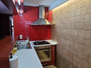 een keuken met een fornuis en een rode tegelmuur bij Nerva Traian Studio in Boekarest