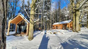 uma cabana de madeira na floresta na neve em Forest Garden Romance 