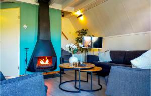 uma sala de estar com um sofá e uma lareira em Amazing Home In Gramsbergen With Kitchen em Gramsbergen