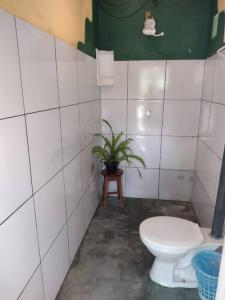 a bathroom with a toilet and a potted plant at Camping Casa Mágica-Taipu de Fora in Barra Grande