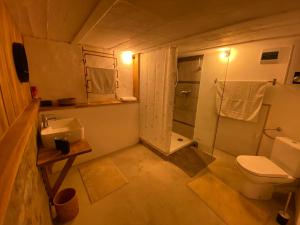 uma casa de banho com um WC, um chuveiro e um lavatório. em Art Boutique Budget Apartment im Hinterhof Menden Altstadt em Menden