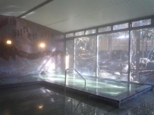 a room with a hot tub in front of a zoo at Hotel Seikoen in Nikko