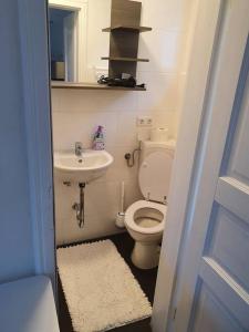 a small bathroom with a toilet and a sink at Naturpanorama in Gleiszellen-Gleishorbach