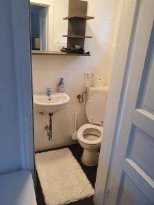 a small bathroom with a toilet and a sink at Naturpanorama in Gleiszellen-Gleishorbach +7 photos