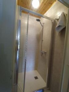 a shower with a glass door in a bathroom at Dolomia in Villagrande