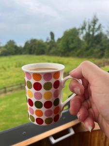 Příslušenství pro přípravu čaje a kávy v ubytování Lough Aduff Lodge 5 minutes from Carrick on Shannon