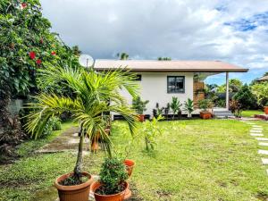 une maison avec des palmiers dans une cour dans l'établissement TAHITI - Fare Matavai Toru, à Taravao