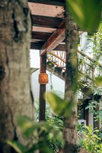 Ein Vogelfutter hängt von einem Baum in der Unterkunft Orchid House Tulum in Tulum