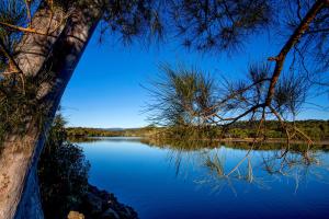 una vista de un lago desde entre dos árboles en Reflections Ferry Reserve - Holiday Park en Brunswick Heads