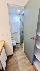 łazienka z prysznicem i toaletą w obiekcie Joli Studio Kaz’Coco vue mer w mieście Le Diamant