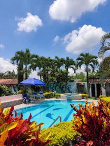 uma piscina no resort com palmeiras em Melao Hostel Campestre y Vivero em Palmira
