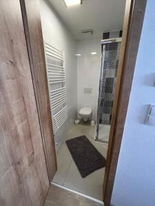 Koupelna v ubytování Útulný apartmán na Dolní Moravě