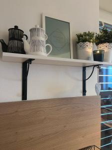 Fotografie z fotogalerie ubytování Útulný apartmán na Dolní Moravě v destinaci Dolní Morava
