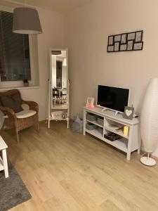 TV a/nebo společenská místnost v ubytování Útulný apartmán na Dolní Moravě