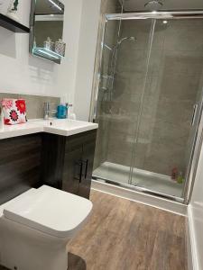 a bathroom with a shower and a toilet and a sink at Hinton Pad by condokeeper in Cambridge