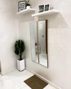 La salle de bains est pourvue d'un miroir et d'une plante en pot. dans l'établissement Appart luxueux sécurisé parking 10 min Medina, à Fès