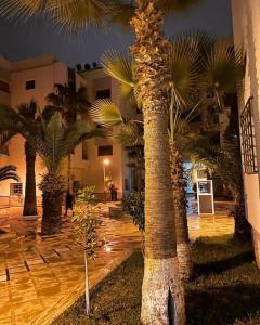 un groupe de palmiers dans une cour la nuit dans l'établissement Appart luxueux sécurisé parking 10 min Medina, à Fès