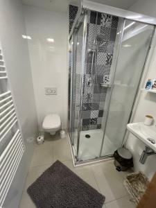 Koupelna v ubytování Útulný apartmán na Dolní Moravě