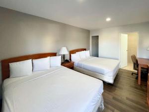 Habitación de hotel con 2 camas y escritorio en Motel 6 Richmond CA Civic Center, en Richmond