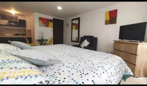 a bedroom with a bed and a tv on a dresser at CAMAKING /WIFI/ NETFLIX/ NORTE/ VALLEDEATRIZ/MODERNO in Pasto