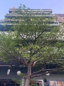 a tree in front of a building at Nesuto Hostel Ramkamhaeng 52 in Bangkok