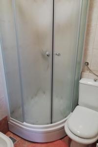 a bathroom with a shower and a toilet at Holiday house with a parking space Jakovci Netreticki, Karlovac - 20279 in Netretić