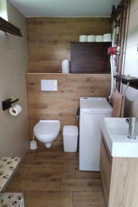a bathroom with a toilet and a sink at Holiday house with a parking space Jakovci Netreticki, Karlovac - 20279 in Netretić