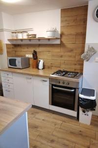 A kitchen or kitchenette at Holiday house with a parking space Jakovci Netreticki, Karlovac - 20279