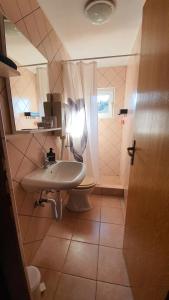 y baño con lavabo y aseo. en Family friendly house with a swimming pool Vrbovsko, Gorski kotar - 20331, en Vrbovsko